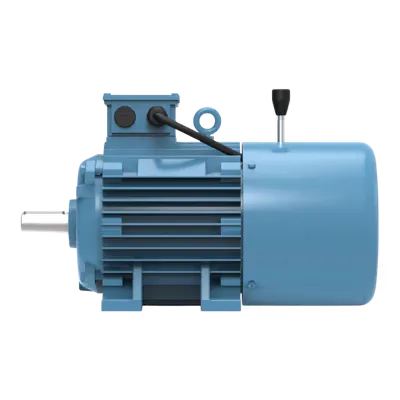 Induction Motors: Single phase, three phase, foot, flange, and brake motors